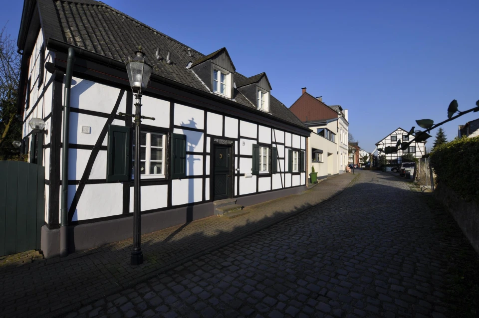 MH_Ruhrauen_am_Dorf_Saarn_02