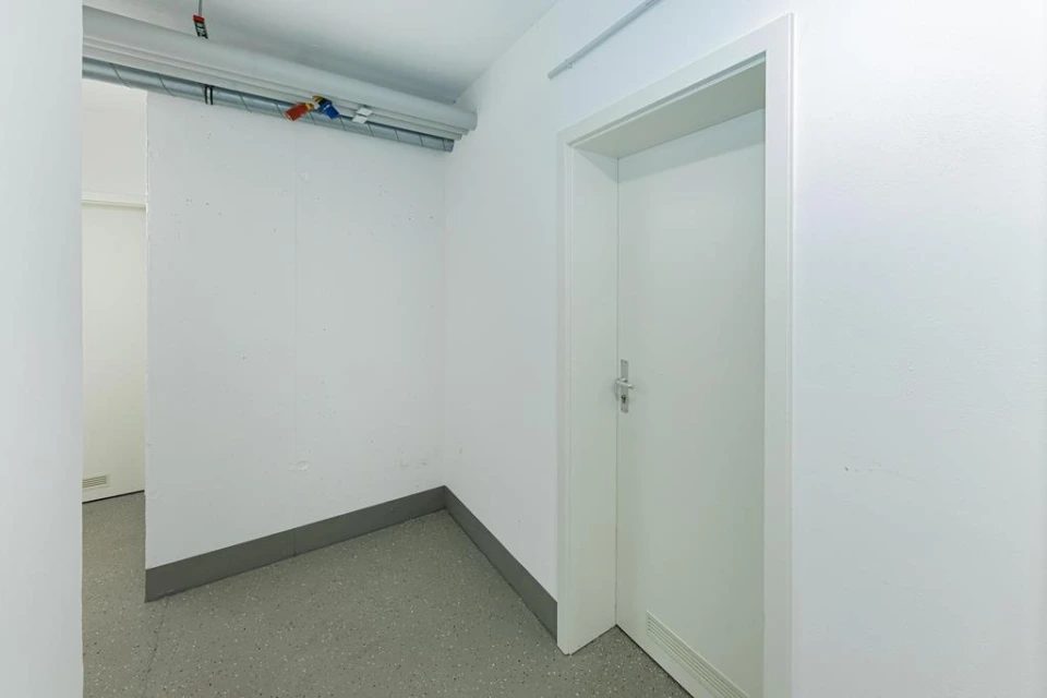 025©THOMAS_BITTERA_BAUM_OBJEKT_IN_DER_BRÜHL_1_MEERBUSCH_16122022 (Copy) (Copy)