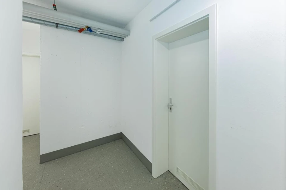 025©THOMAS_BITTERA_BAUM_OBJEKT_IN_DER_BRÜHL_1_MEERBUSCH_16122022 (Copy) (Copy)
